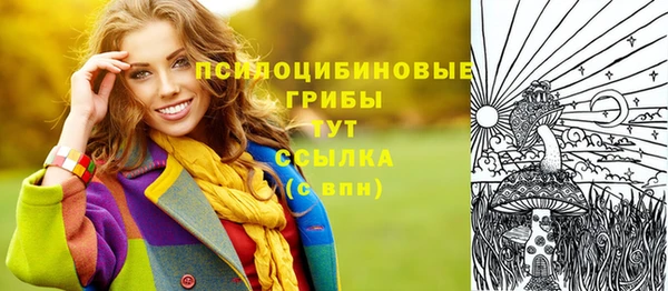 герыч Арсеньев