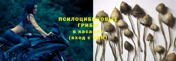 ГАЛЛЮЦИНОГЕННЫЕ ГРИБЫ Армянск