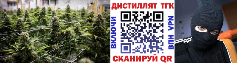 Дистиллят ТГК вейп с тгк  OMG как войти  Нязепетровск  купить закладку 